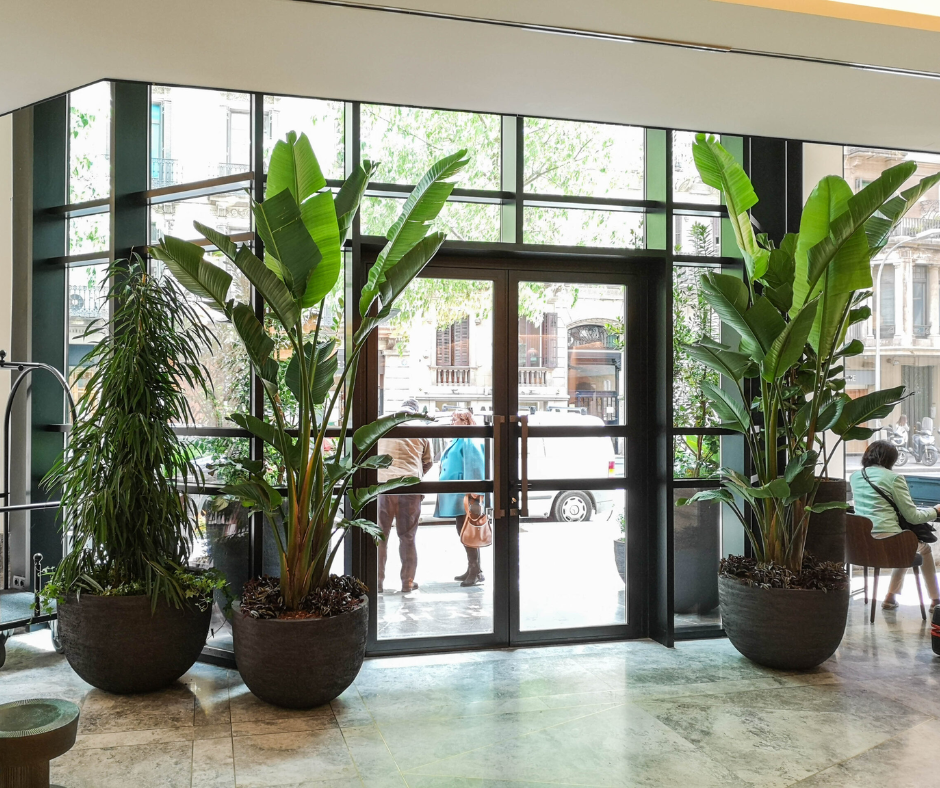 Paisajismo para hotel con jardín mediterráneo sostenible en Barcelona