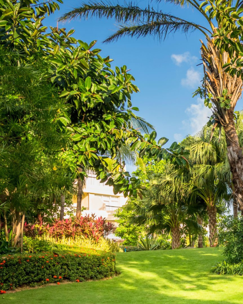Paisajismo sostenible en Barcelona con diseño de jardines mediterráneos