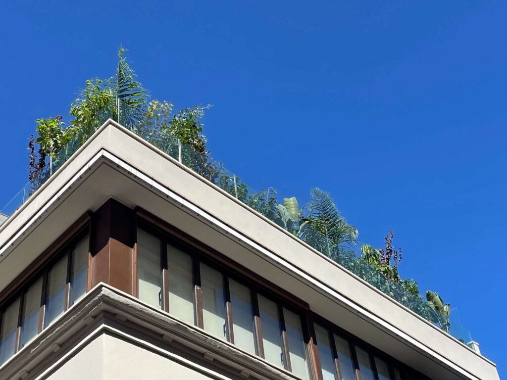 Jardín mediterráneo de xerojardinería con grava, suculentas y plantas autóctonas, diseñado para vivir prácticamente sin riego y solo con agua de lluvia