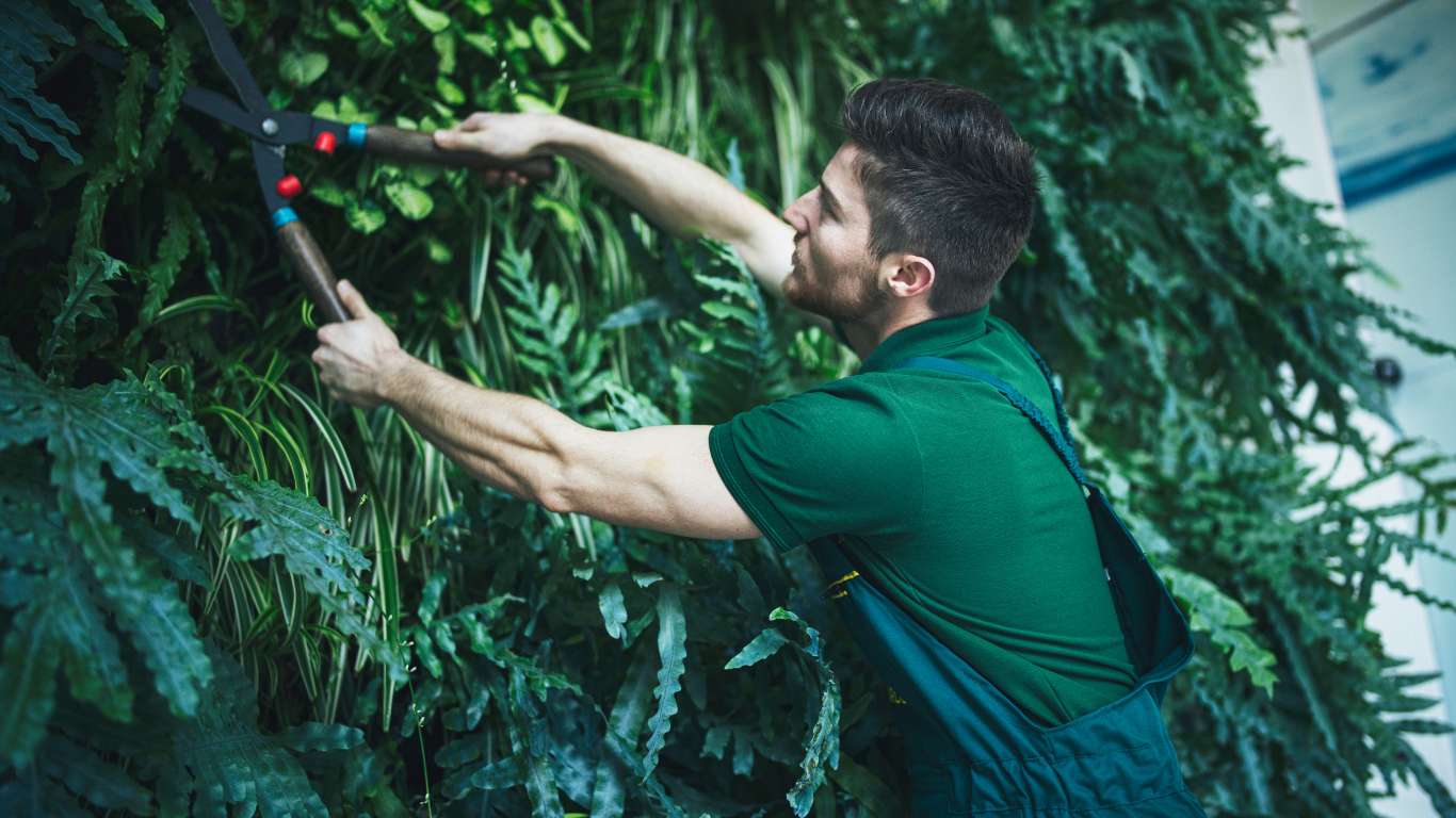 Jardín vertical en un restaurante moderno, situado junto a la zona de mesas, aportando verde, aislamiento acústico y una imagen eco y atractiva para los clientes.