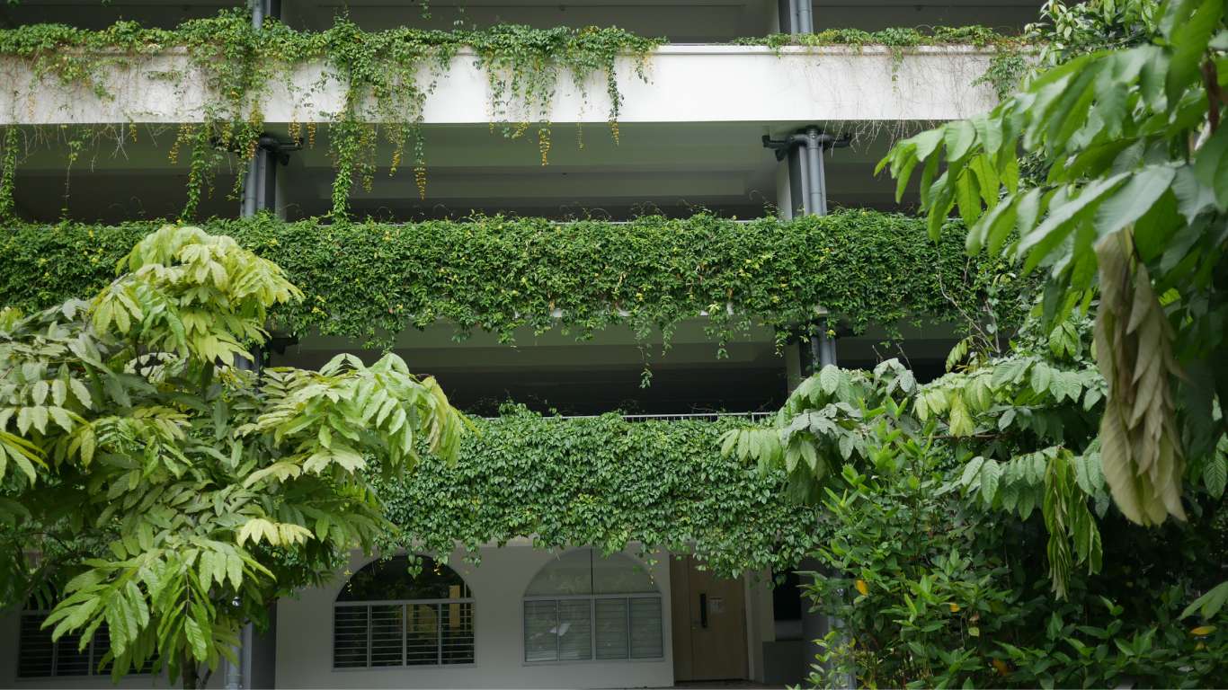 Mantenimiento de zonas verdes para comunidades: servicios incluidos, calendario de tareas, costes y claves para tener jardines comunitarios cuidados, seguros y sostenibles.