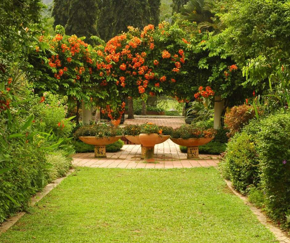 Jardines cuidados en un hotel con piscina y palmeras, mantenidos por un servicio externo de jardinería especializado en hoteles.