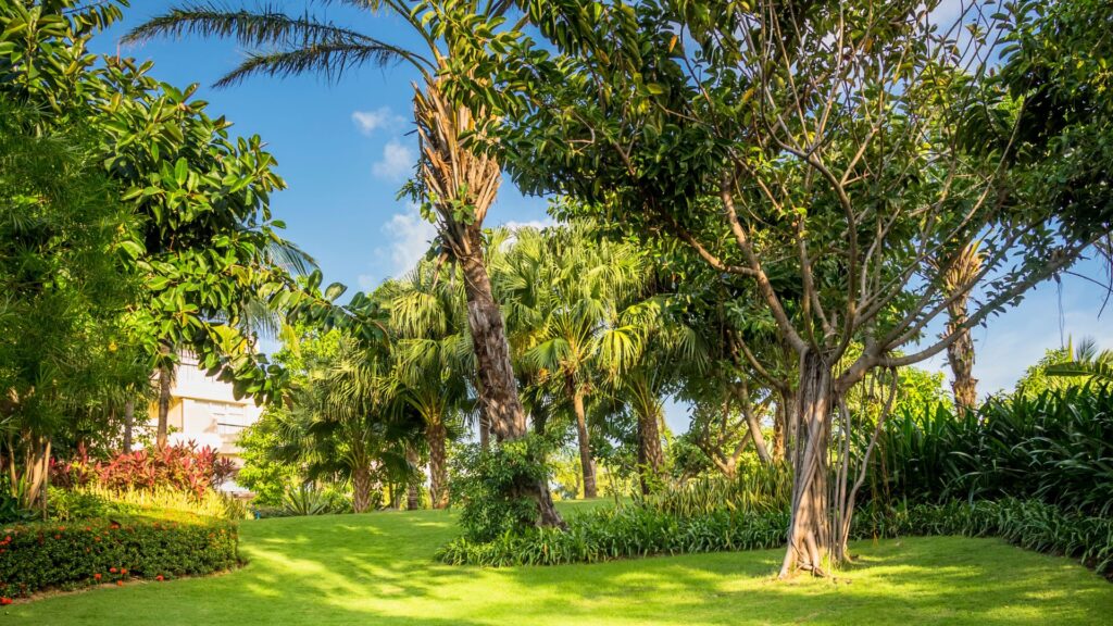 Mantenimiento mensual jardin en Barcelona