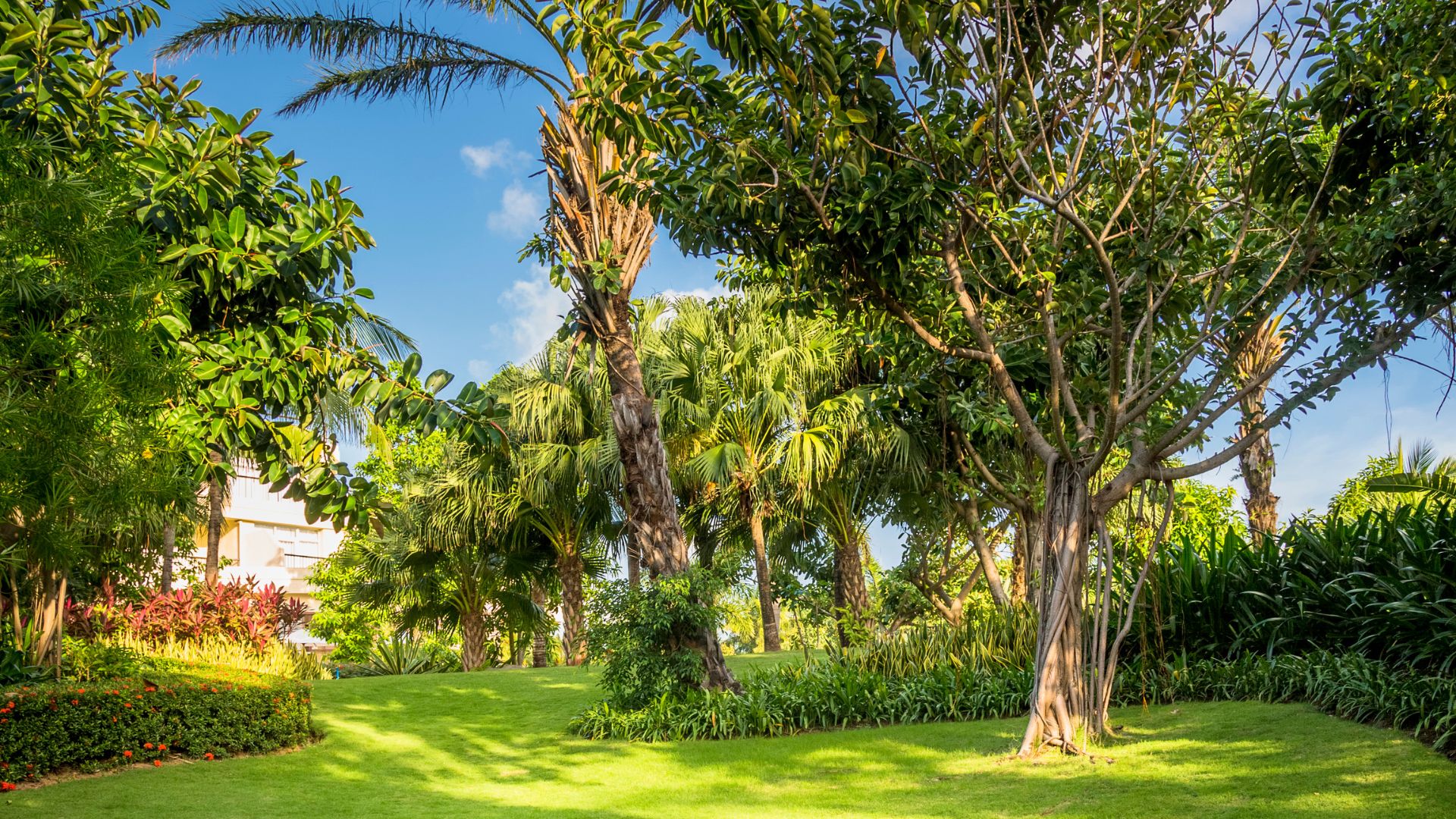 Mantenimiento mensual jardin en Barcelona