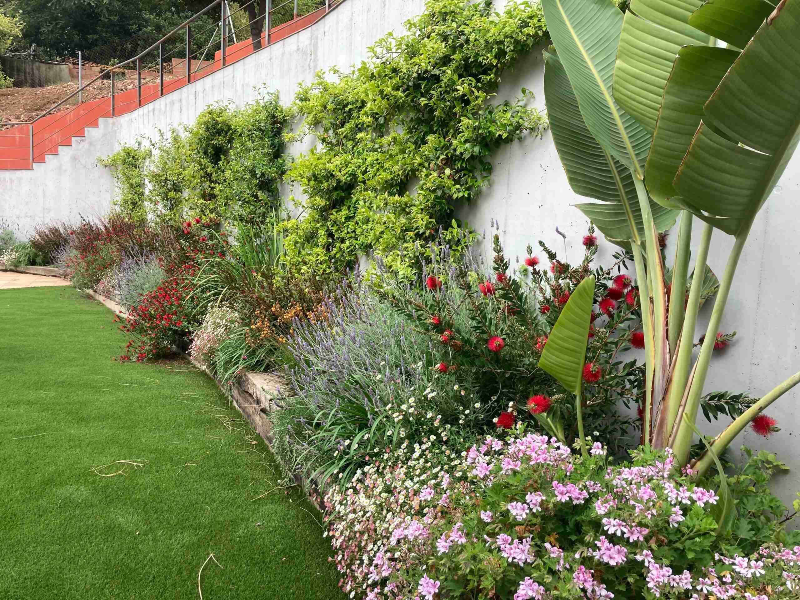 Jardines de bajo mantenimiento cataluña