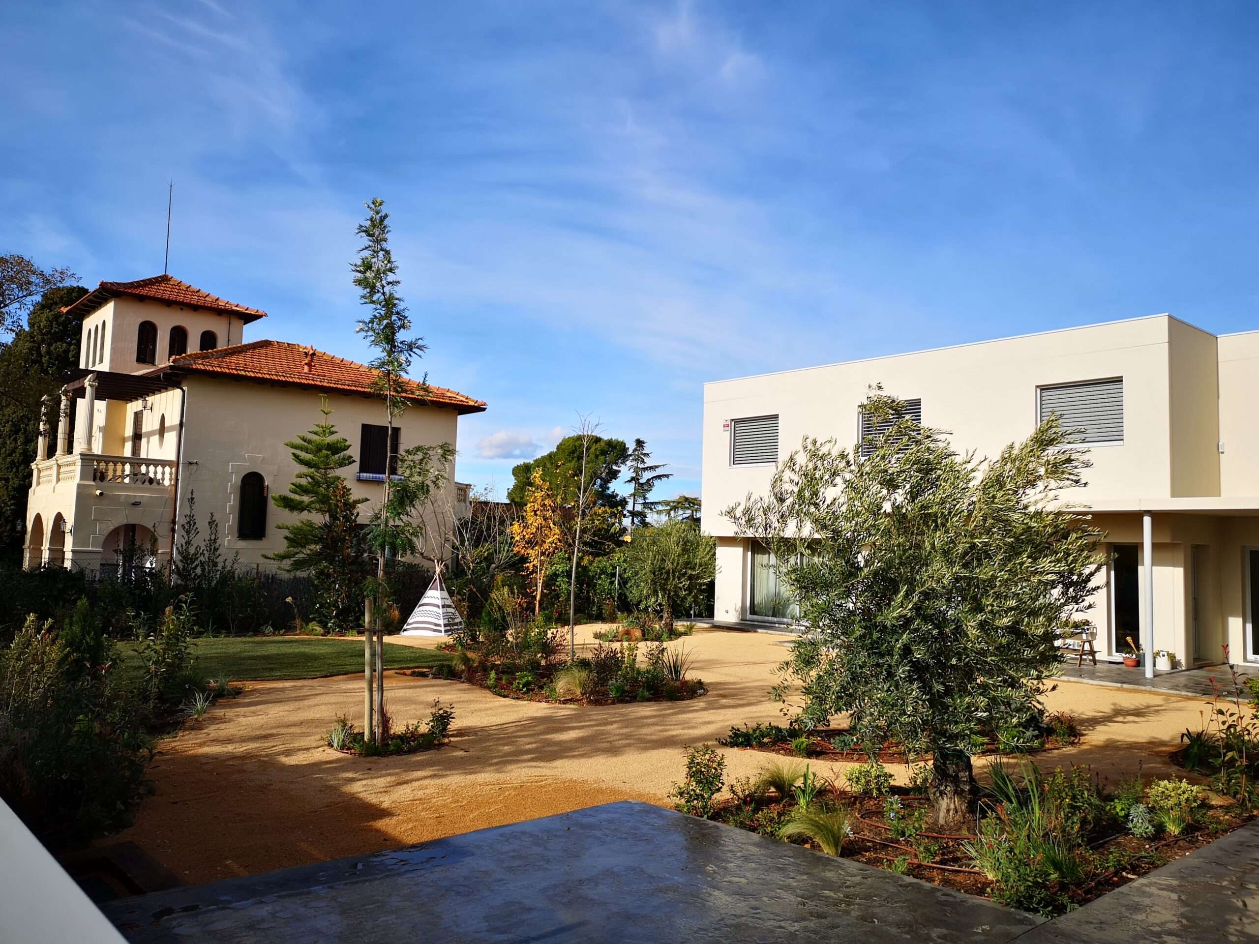 Jardín mediterráneo de bajo mantenimiento en Cataluña, con lavandas, romeros, tomillos, gramíneas y un olivo sobre grava decorativa.