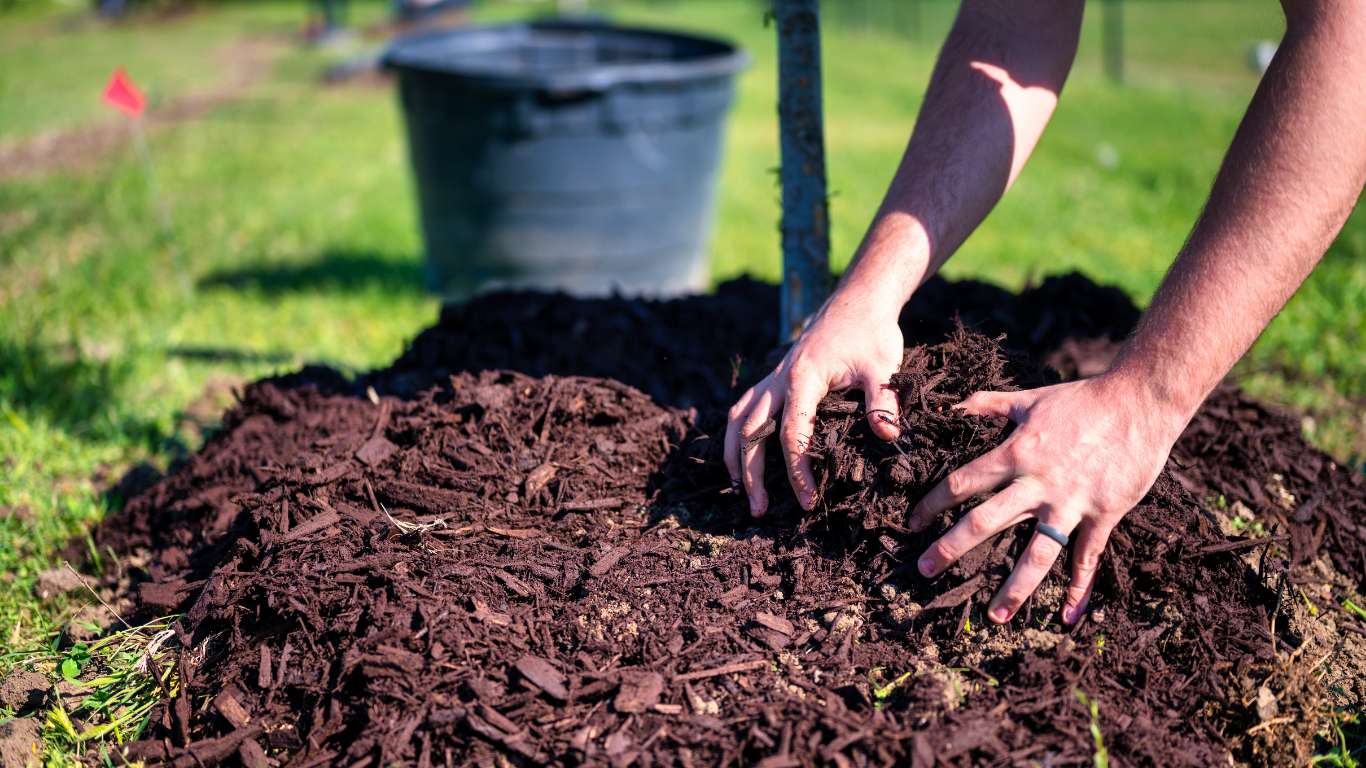 Detalle de un parterre de jardín con acolchado orgánico de corteza y paja alrededor de las plantas, mostrando un suelo protegido que ahorra agua y reduce malas hierbas.