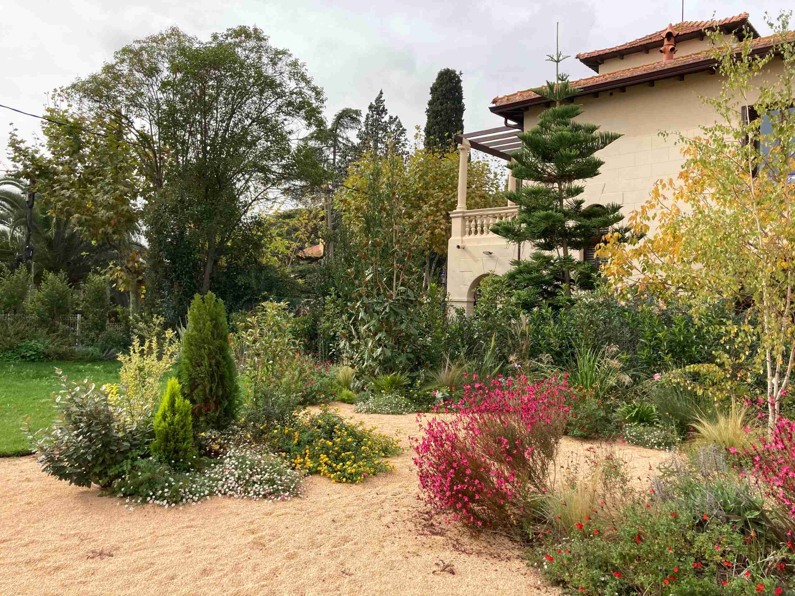 Jardín mediterráneo en Cataluña con lavandas, romeros, gramíneas y suculentas, mostrando un diseño de bajo mantenimiento resistente a la sequía.