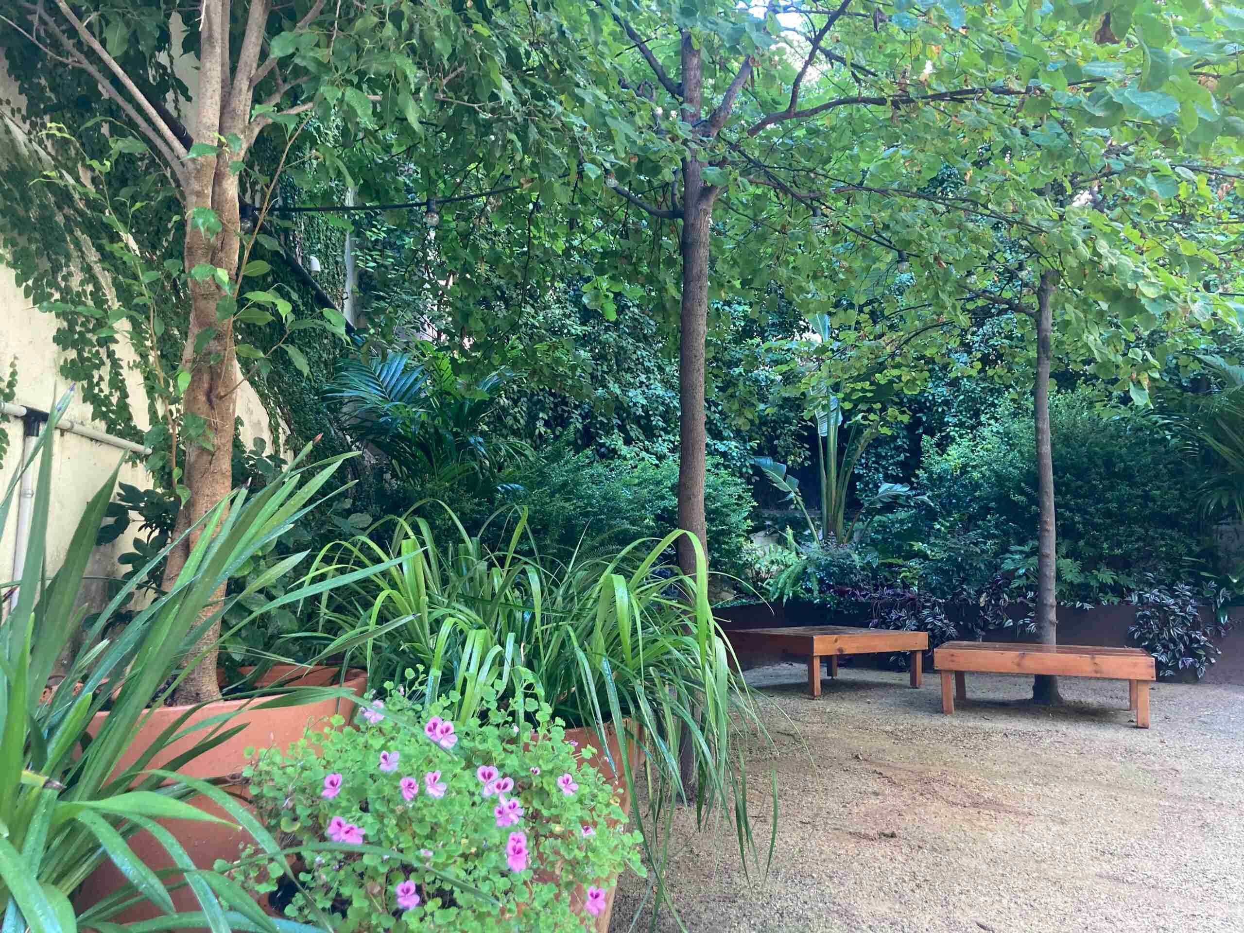 Jardín mediterráneo con grava clara, olivo, lavandas, una pérgola con buganvilla y zona de estar, que transmite un ambiente relajado y soleado típicamente mediterráneo.